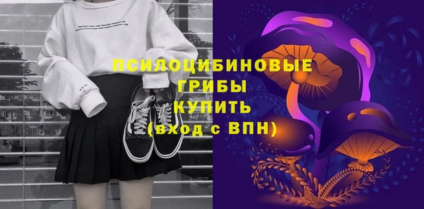 ПСИЛОЦИБИНОВЫЕ ГРИБЫ Балабаново