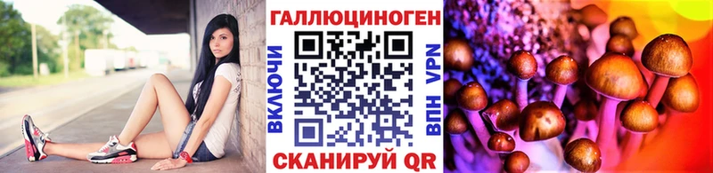наркотики  Долгопрудный  Псилоцибиновые грибы мицелий 