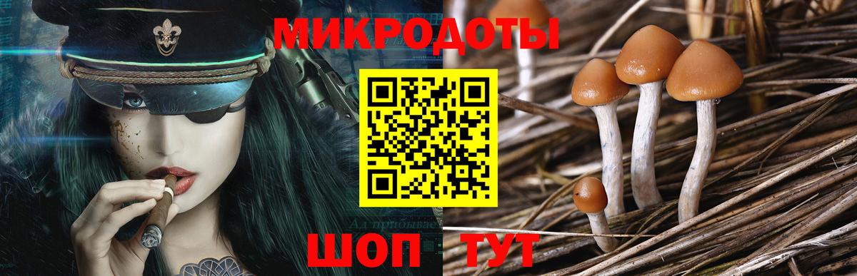 Псилоцибиновые грибы Psilocybine cubensis  Вход с VPN  Псилоцибиновые грибы прущие грибы  Долгопрудный 